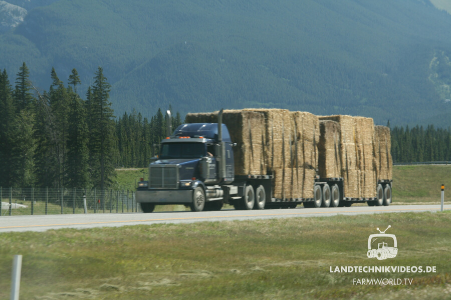 Trucks Canada_36.jpg